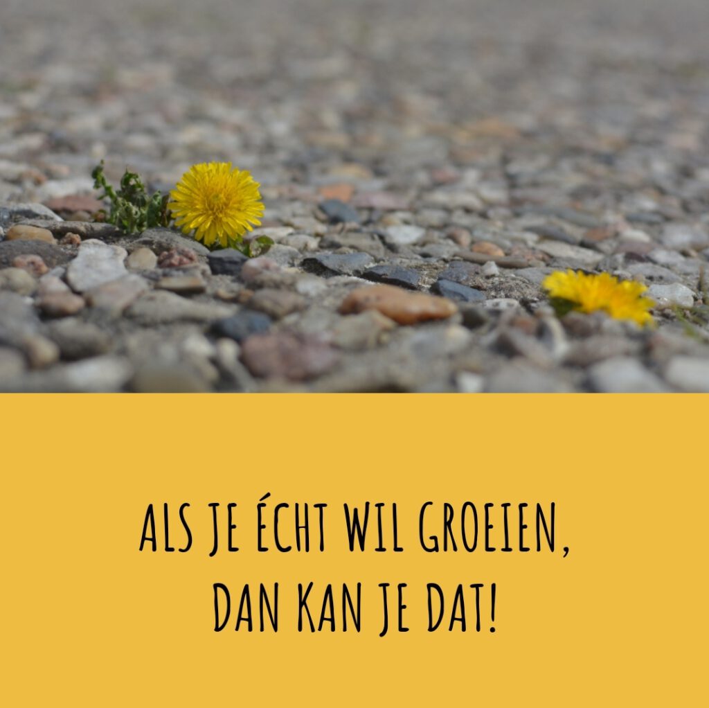 Als je echt wil groeien dan kan je dat, coaching hengelo