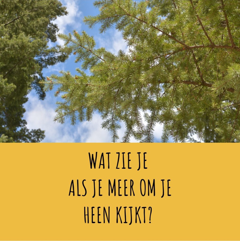 Wat zie je als je meer om je heen kijkt? Coaching Hengelo